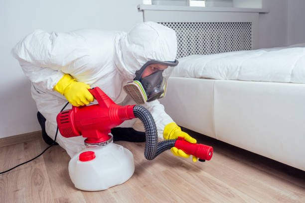 Best Real Estate Pest Inspections  in East Village, CT